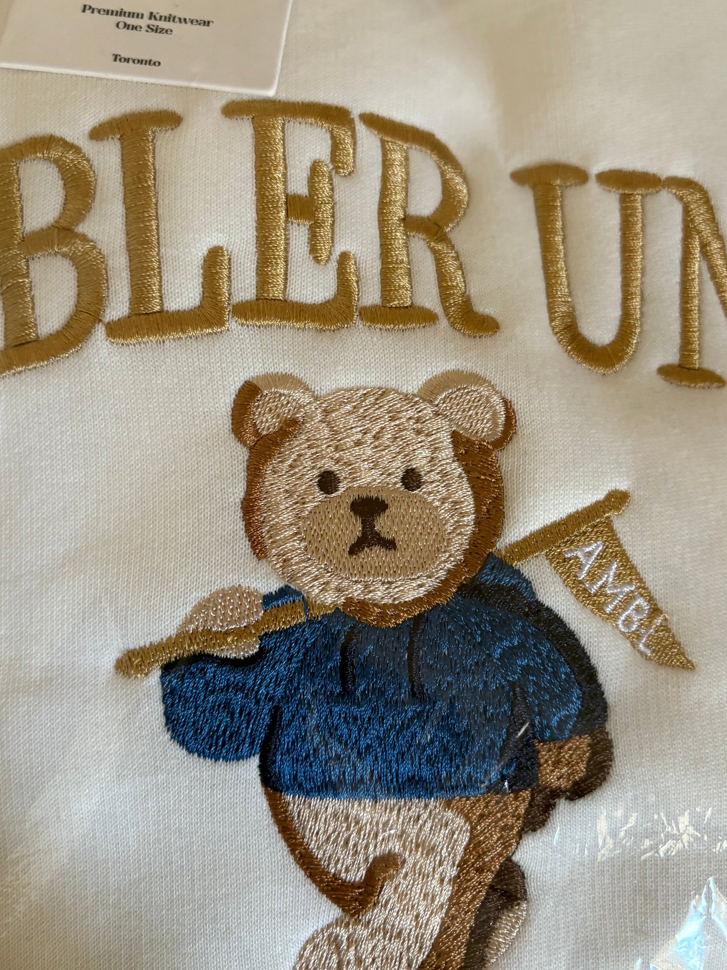 Teddy Bear Sweatshirt 🧸