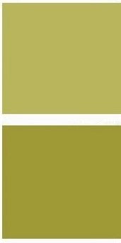 Chartreuse Midi Dress